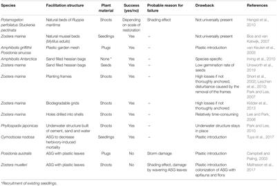 Using Artificial Seagrass for Promoting Positive Feedback Mechanisms in Seagrass Restoration